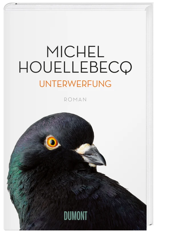 Unterwerfung (Cover)